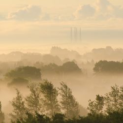 2. plads - Digital 2<br><br>