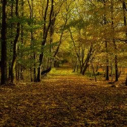 December 2016 - Tema: 50mm<br>Fotograf: Kai-Benny Krümmel Nielsen<br><br>