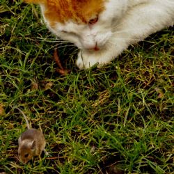 April 2026 - Tema: Øjeblikket<br>Fotograf: Jens Cederskjold<br><br>