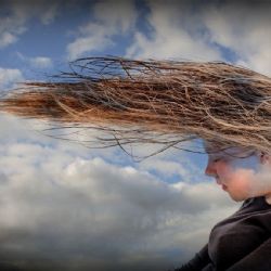 November 2016 - Tema: Langt<br>Fotograf: Allan Petersen