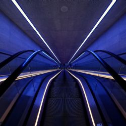 November 2019 - Tema: Kontrast<br>Fotograf: Allan Petersen<br><br>