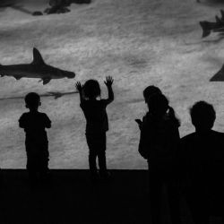 Januar 2025 - Tema: Sort/hvid<br>Fotograf: Ivan Lundhus Olsen<br><br>