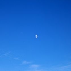 <i>La Luna</i><br>