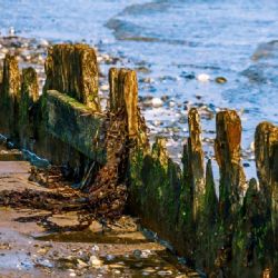 <i>Bolværk i Amager Strandpark - f/7.1 1/250 ISO-100 85mm</i><br>