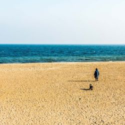 <i>Amager Strandpark - f/7.1 1/400 ISO-100 24mm</i><br>